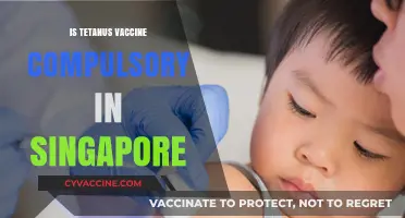 Tetanus Vaccine in Singapore: Understanding the Immunization Requirements