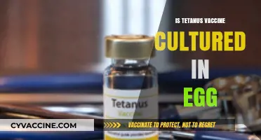 Unraveling the Myth: Tetanus Vaccine and Egg Culture