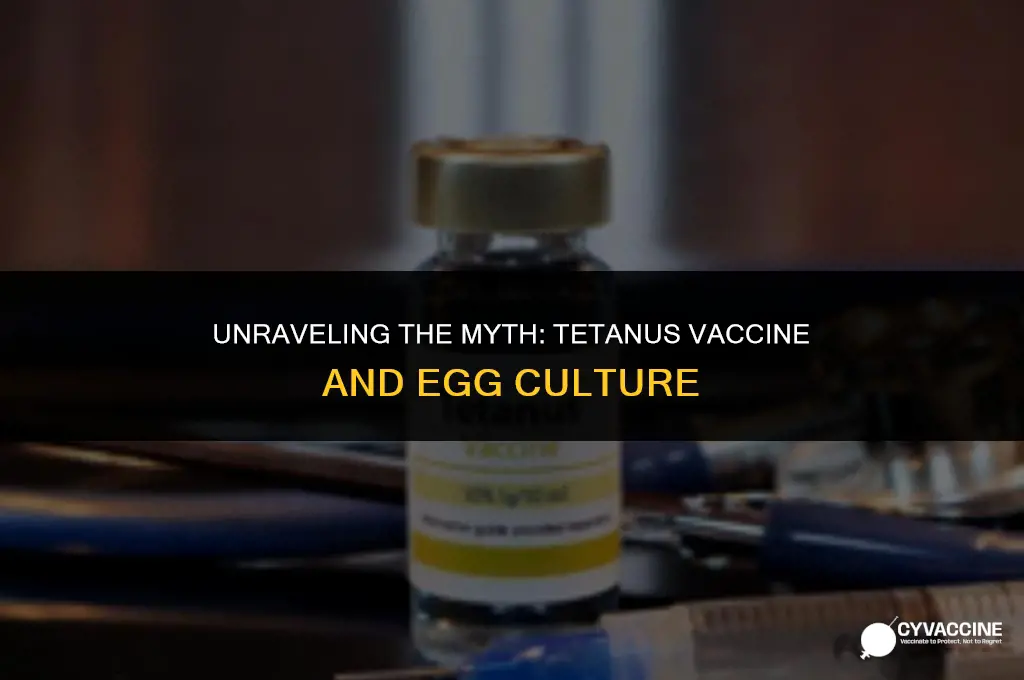 is tetanus vaccine cultured in egg