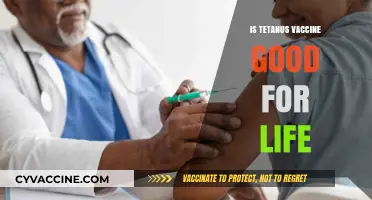 Lifelong Immunity: The Truth About Tetanus Vaccine Efficacy
