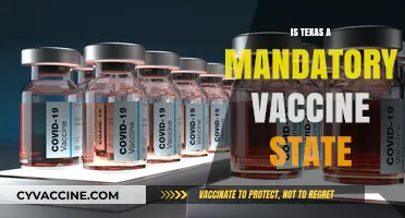 Texas Vaccine Laws: Understanding Mandatory Immunizations