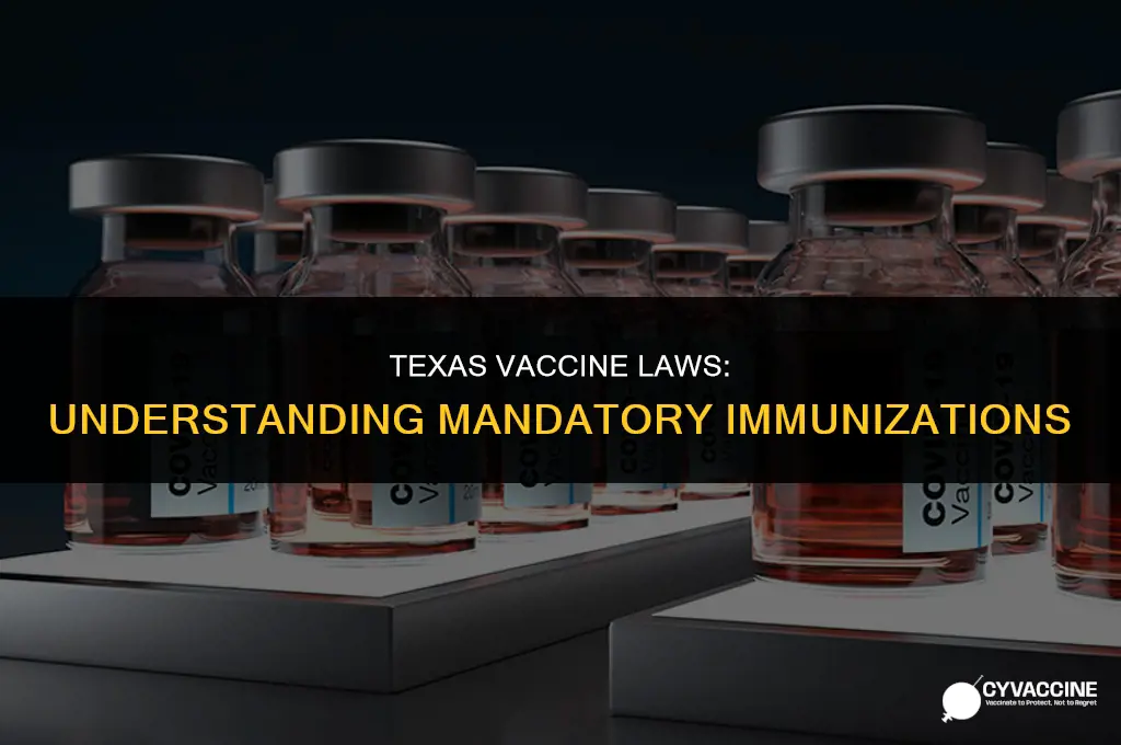 is texas a mandatory vaccine state