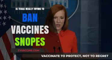 Texas Vaccine Ban: Separating Fact from Fiction with Snopes