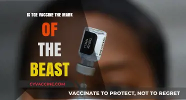 Is the Vaccine the Mark of the Beast? Debunking Myths