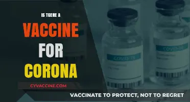 Exploring the Latest: Is There a Vaccine for Corona?