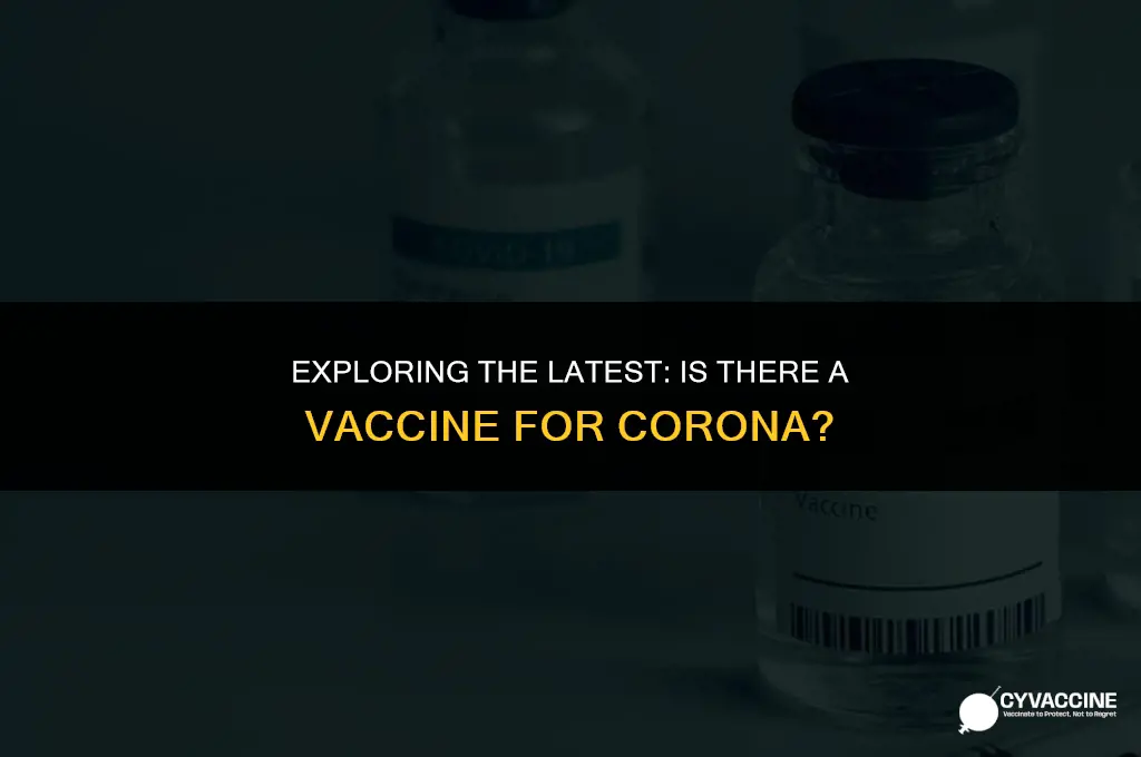is tgere a vaccine for corona