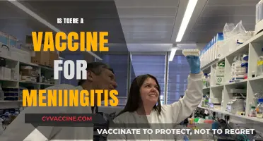 Combatting Meningitis: The Quest for Effective Vaccination