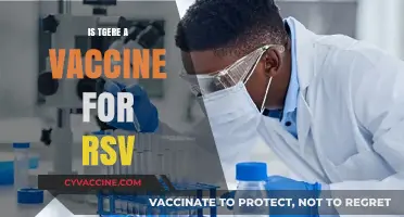 Exploring RSV Vaccines: Current Status and Future Prospects