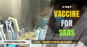 Exploring the Latest on SARS Vaccines: Facts and Updates