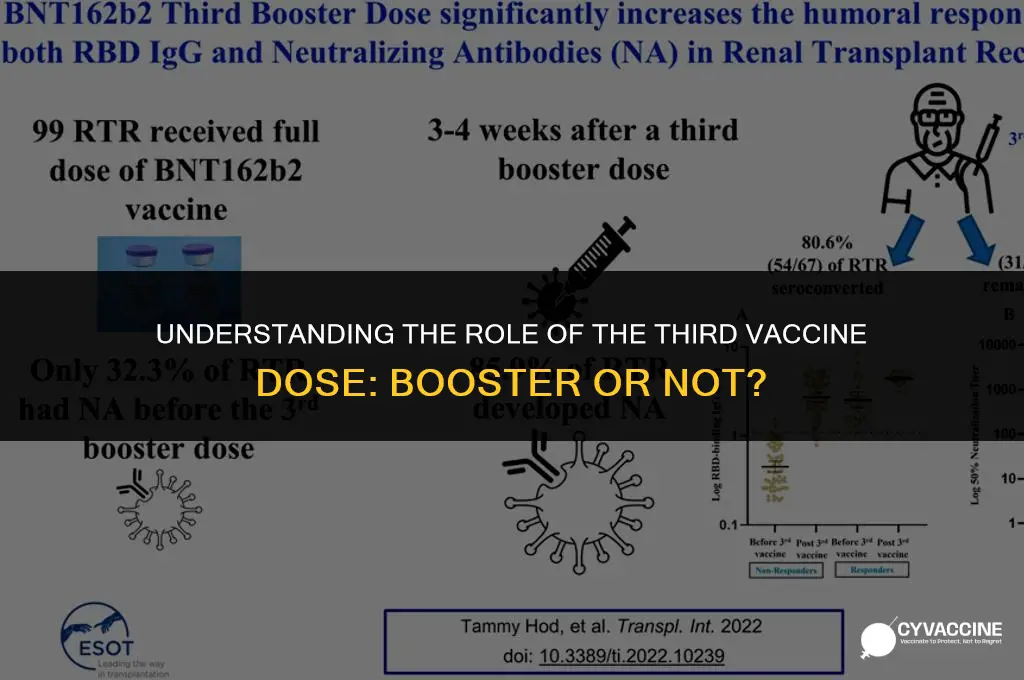 is the 3rd vaccine a booster