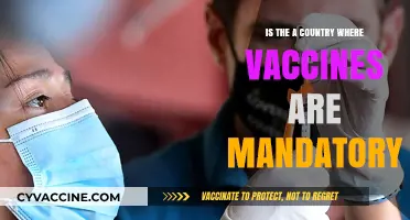 Are Vaccines Mandatory Anywhere? Exploring Global Immunization Policies