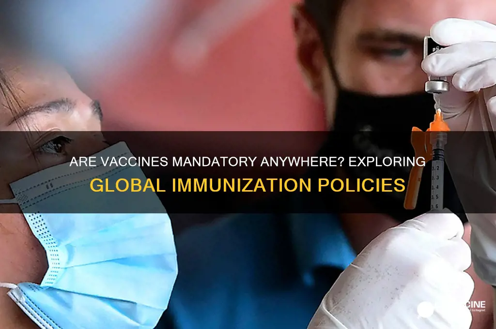 is the a country where vaccines are mandatory