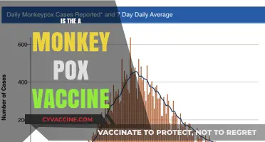 Exploring the Development and Efficacy of a Monkeypox Vaccine