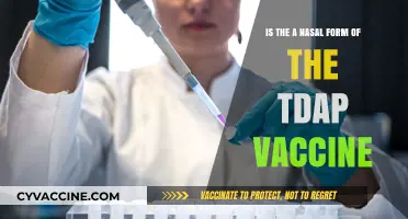 Exploring Nasal Tdap Vaccine: Potential Benefits and Developments