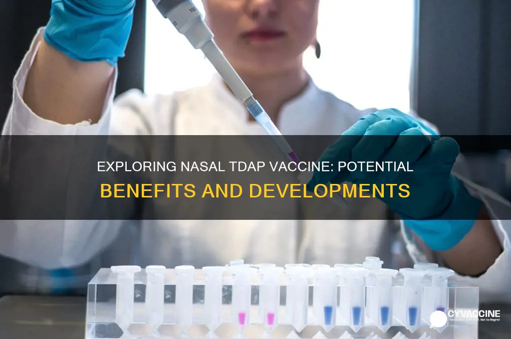 is the a nasal form of the tdap vaccine