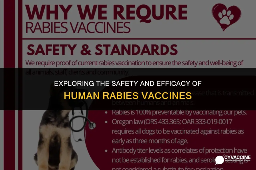 is the a rabies human vaccine