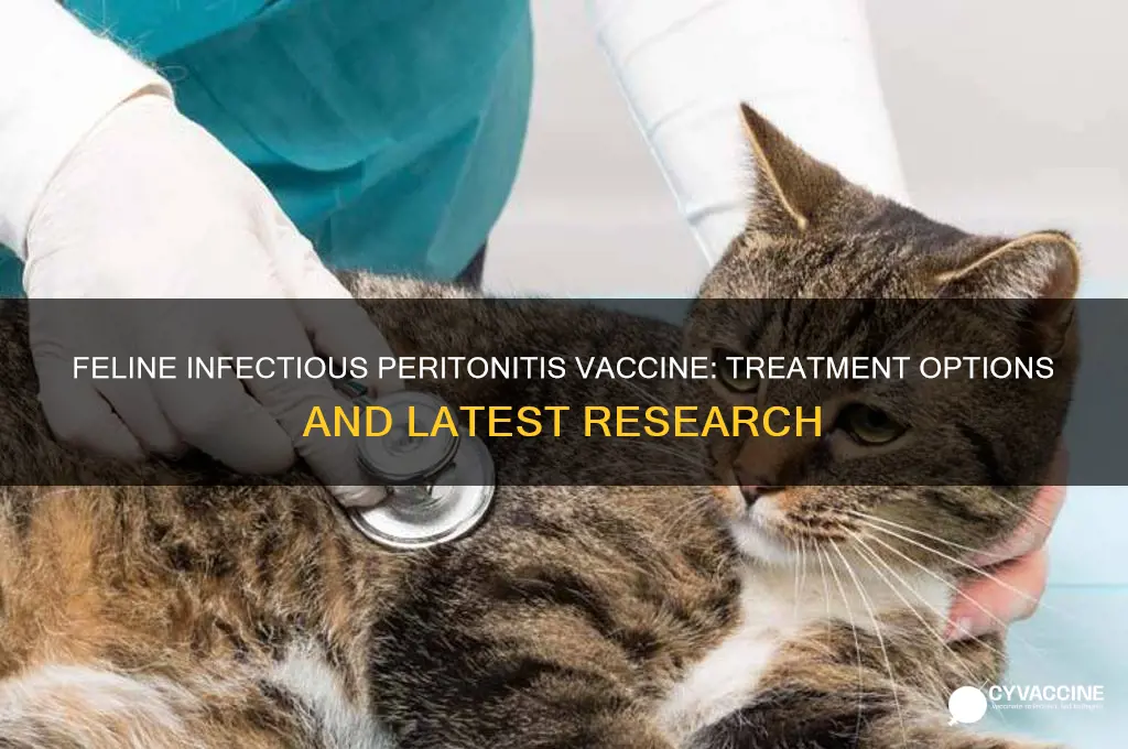 is the a vaccine for feline infectious peritonitis treatment