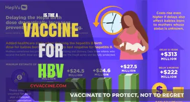 Exploring the Latest Advances in HBV Vaccine Research and Development