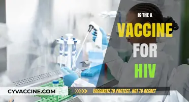 Exploring the Quest for an HIV Vaccine: Progress and Challenges