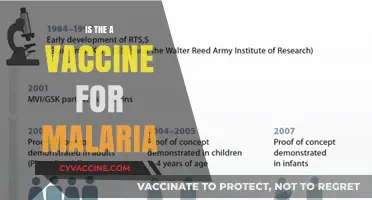 Hope on the Horizon: The Quest for a Malaria Vaccine