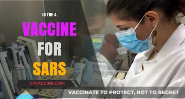 Exploring the Quest for a SARS Vaccine: Progress and Challenges