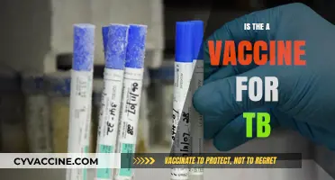Exploring the Quest for a Tuberculosis Vaccine: Hope on the Horizon?