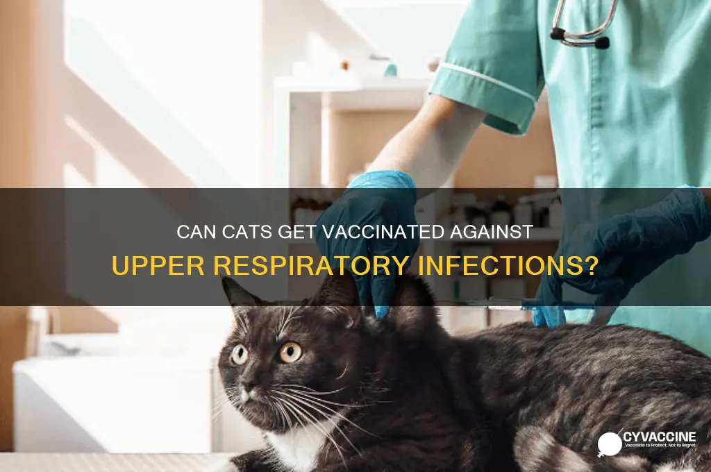 is the a vaccine for upper respiratory infection in cats