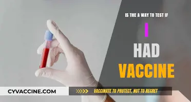 Can You Test for Past Vaccination? Exploring Methods and Limitations