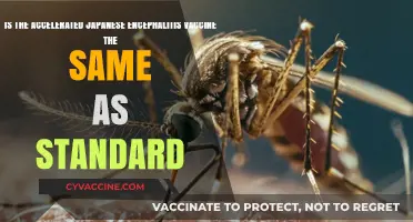 Accelerated vs. Standard Japanese Encephalitis Vaccine: Key Differences Explained