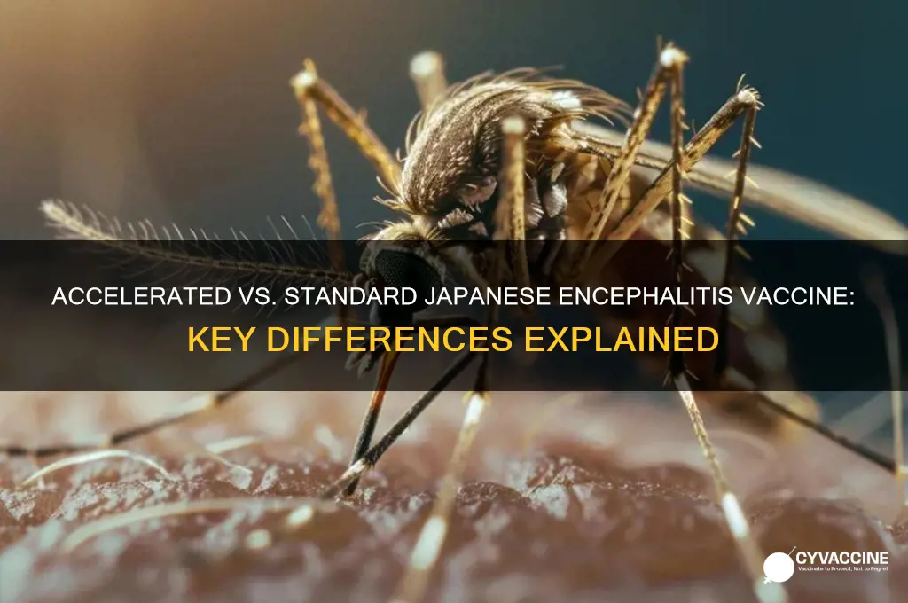 is the accelerated japanese encephalitis vaccine the same as standard