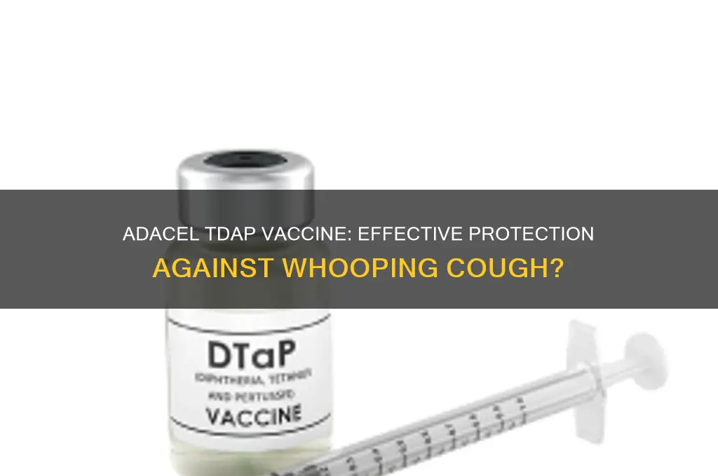 is the adacel tdap vaccine for whooping cough