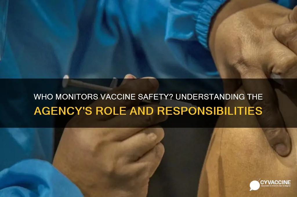 is the agency in charge of monitoring vaccine safety