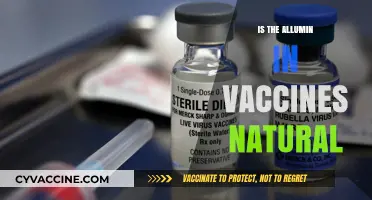 Unveiling the Truth: Is the Aluminum in Vaccines Natural?