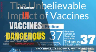 Unveiling the Truth: Are Aluminum Additives in Vaccines a Health Concern?