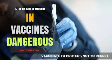 Mercury in Vaccines: Debunking Myths and Assessing Potential Risks