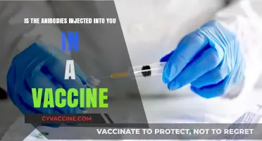 Understanding Vaccine Antibodies: How Injected Immunity Protects Your Body