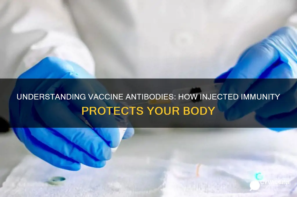 is the anibodies injected into you in a vaccine