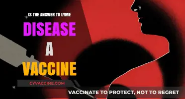Could a Vaccine Be the Solution to Lyme Disease?