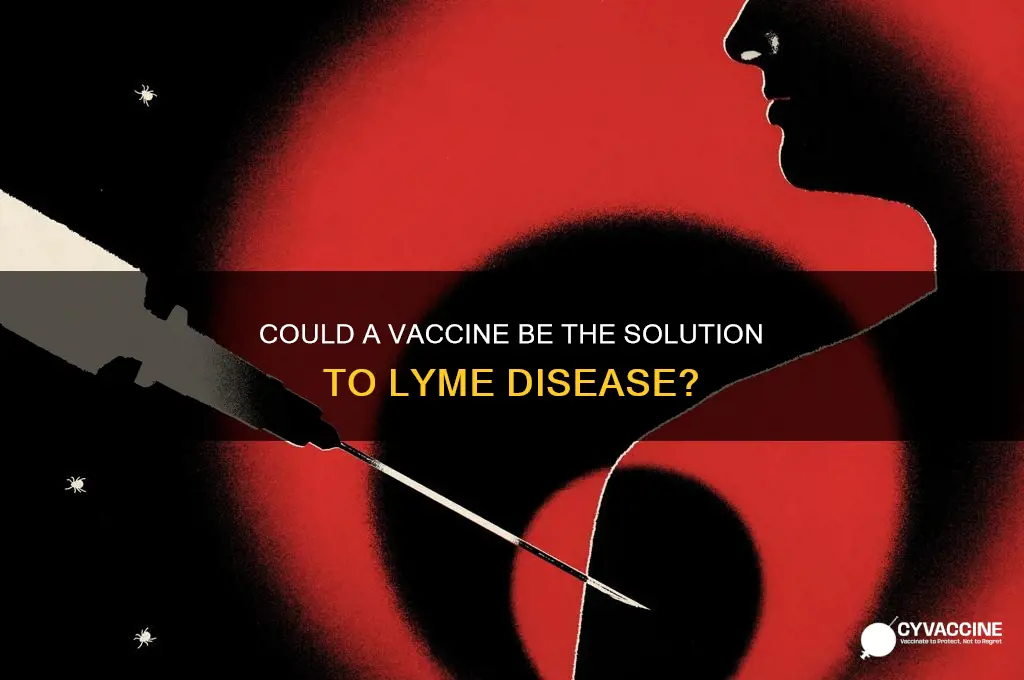 is the answer to lyme disease a vaccine