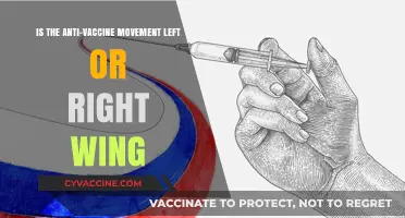 Anti-Vaccine Movement: Unraveling Its Political Leanings and Ideological Roots