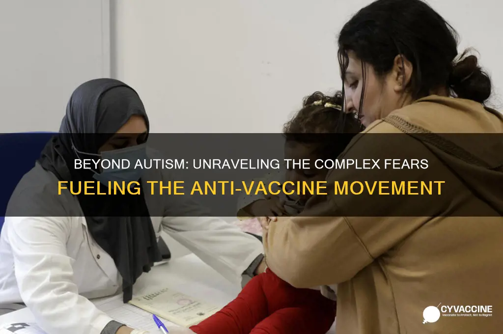 is the anti-vaccine movement only worried about autism