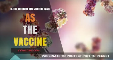 Antibody Infusion vs. Vaccine: Understanding Key Differences and Uses