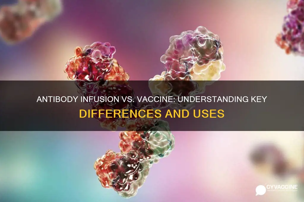 is the antibody infusion the same as the vaccine