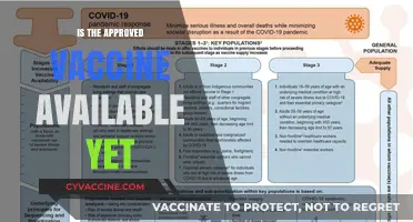 Vaccine Availability Update: What You Need to Know Now