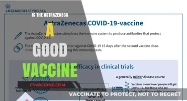 Evaluating the AstraZeneca Vaccine: Benefits, Risks, and Efficacy
