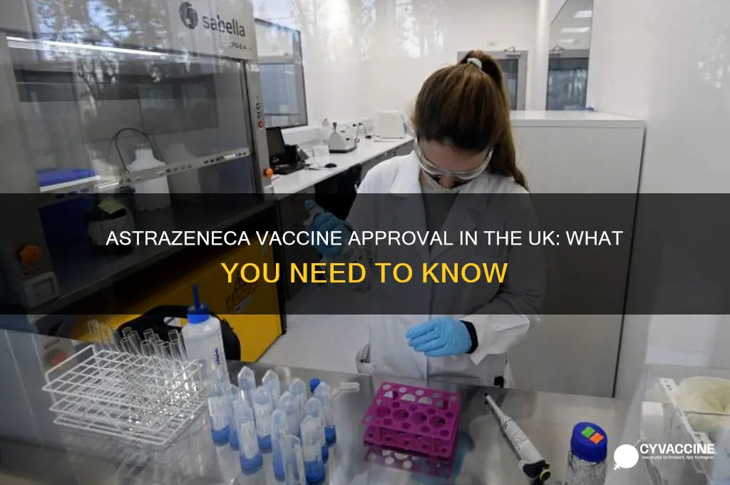 is the astrazeneca vaccine approved in the uk