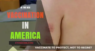 BCG Vaccination in America: A Comprehensive Overview