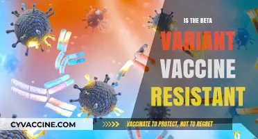 Unraveling the Mystery: Is the Beta Variant Vaccine Resistant?