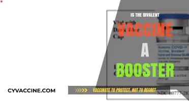 Understanding Bivalent Vaccines: Are They Boosters?