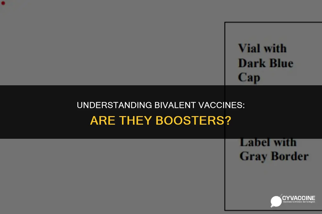 is the bivalent vaccine a booster